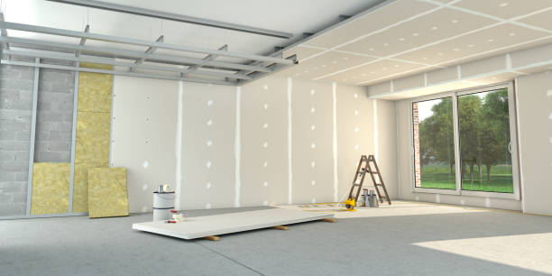 Best Insulation Replacement Services  in Holly Springs, GA