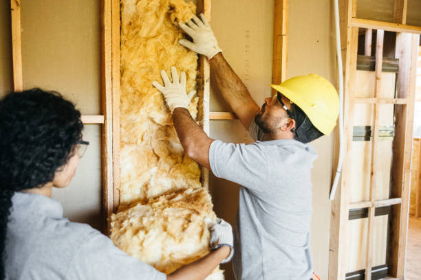 Best Insulation Repair Services  in Holly Springs, GA